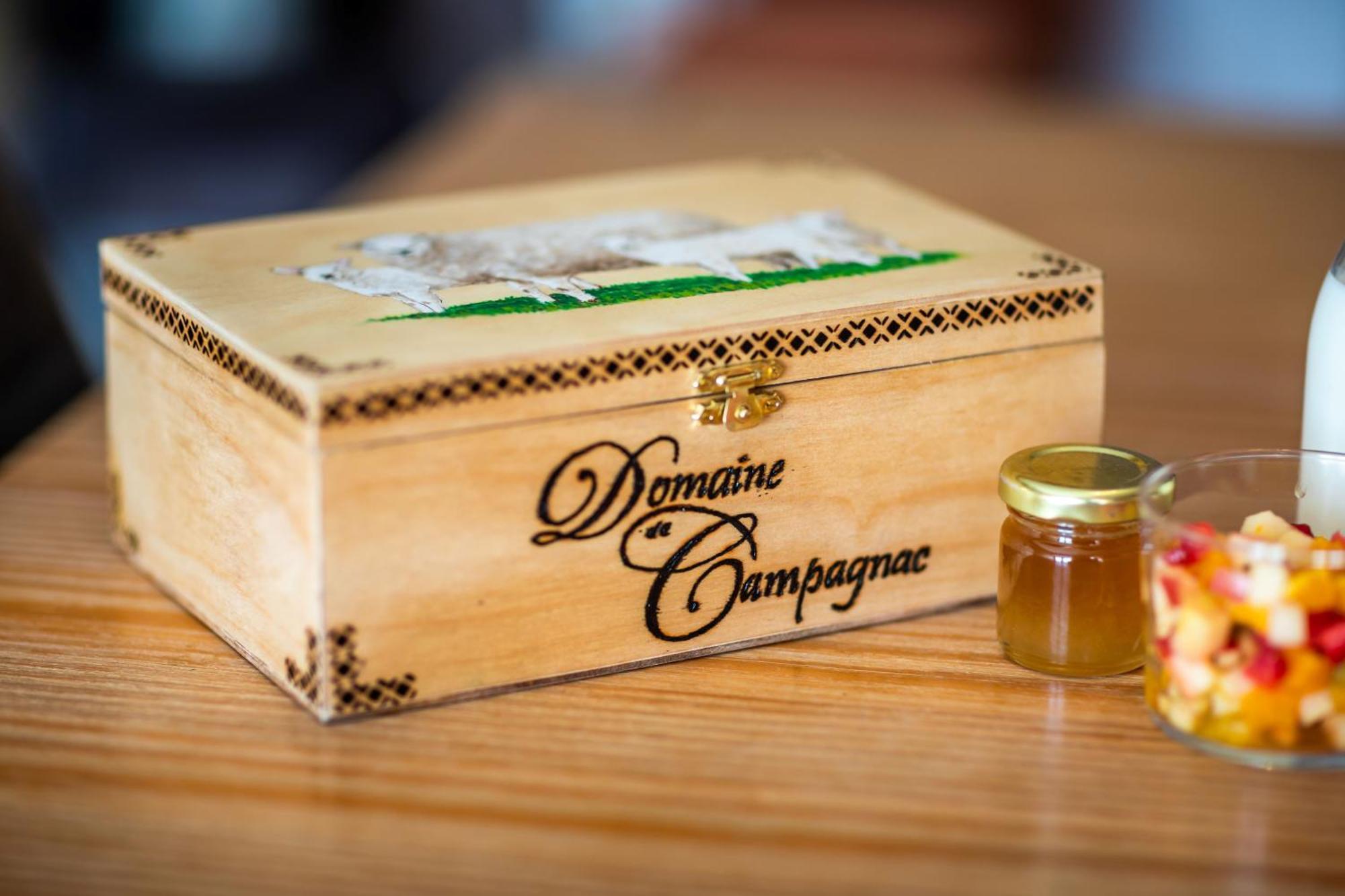 Domaine De Campagnac - Spa & Sauna 卡尔萨克阿亚克 外观 照片
