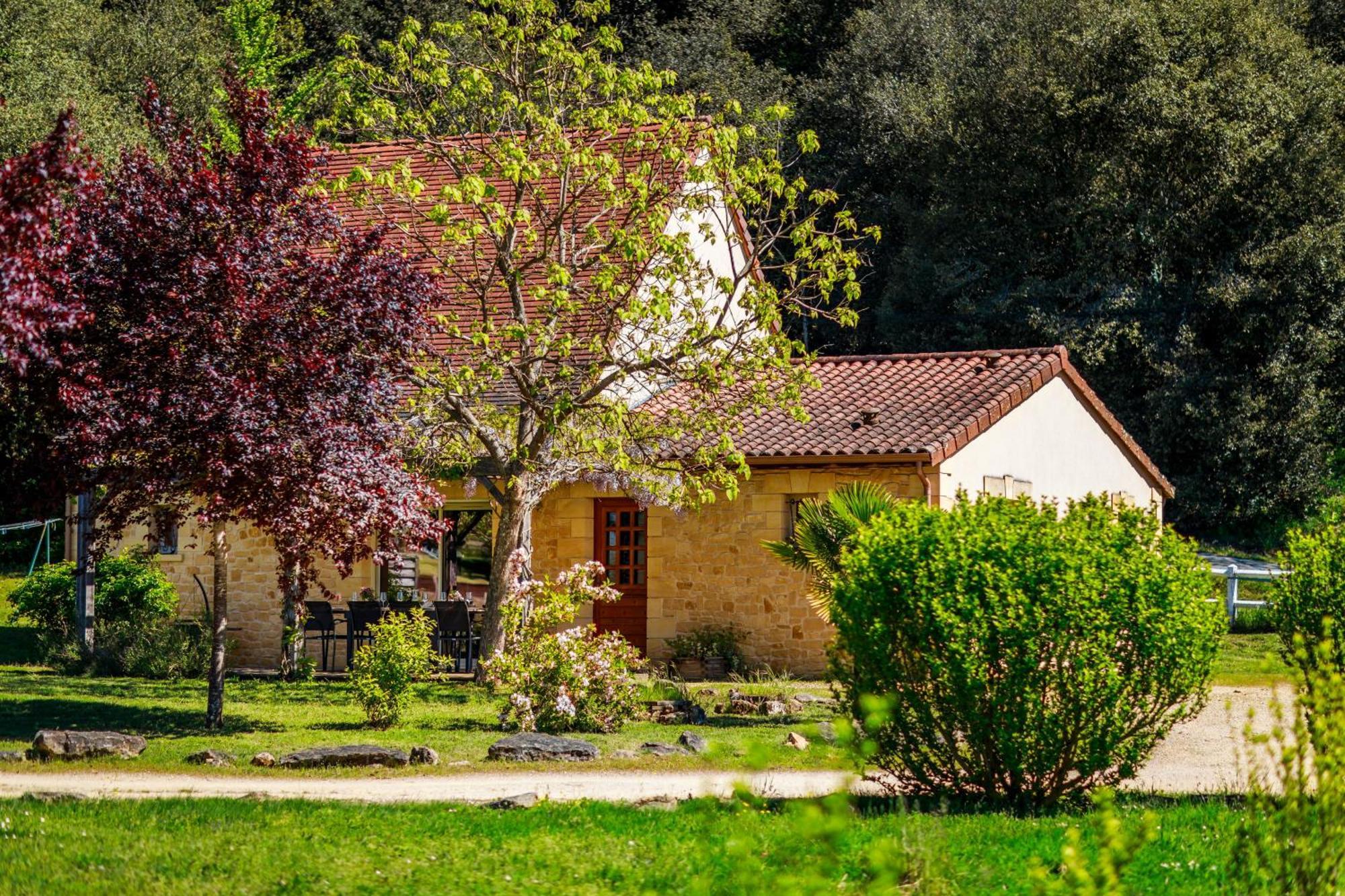 Domaine De Campagnac - Spa & Sauna 卡尔萨克阿亚克 外观 照片