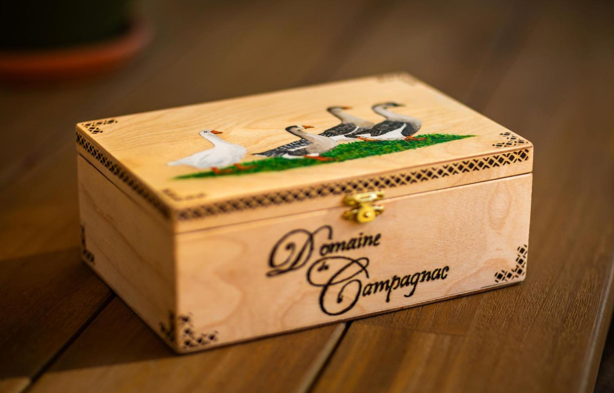 Domaine De Campagnac - Spa & Sauna 卡尔萨克阿亚克 外观 照片